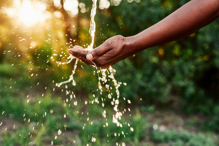 Quiz: See How Much You Know About Water Conservation!