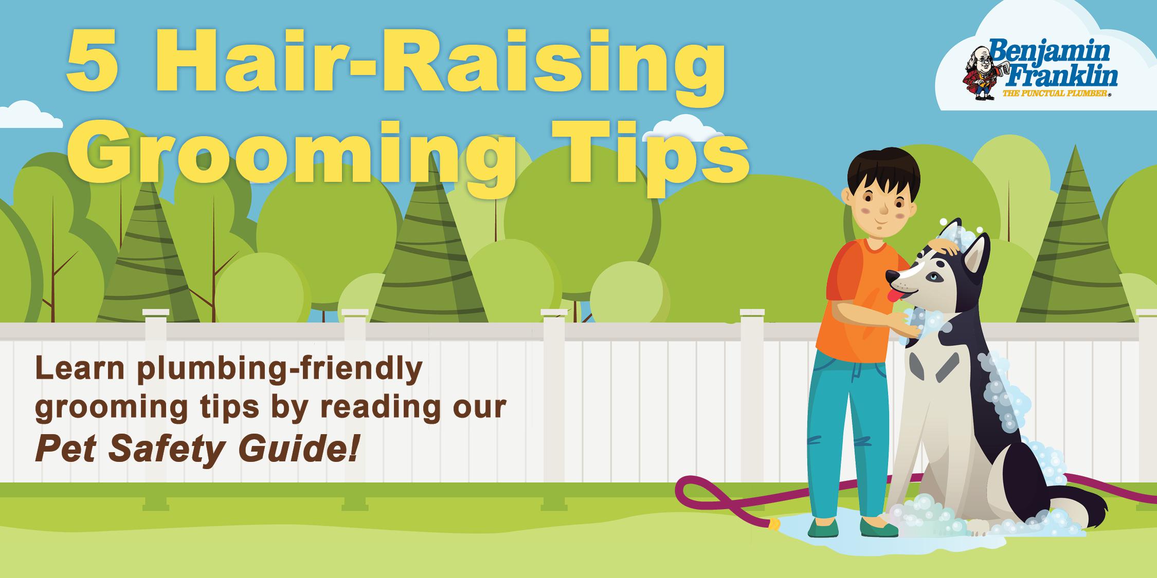 Pet Safety Guide