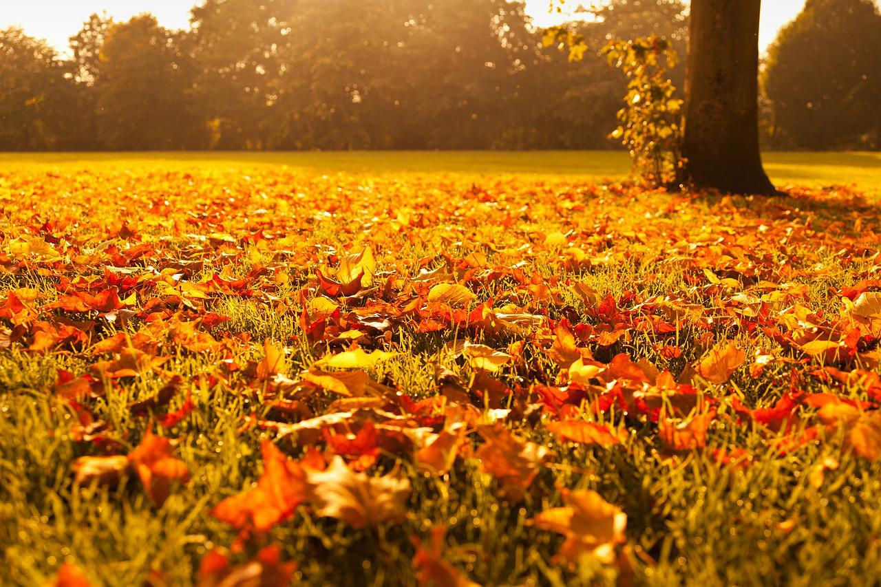 How to Prepare Your Ann Arbor Home’s Plumbing for Winter