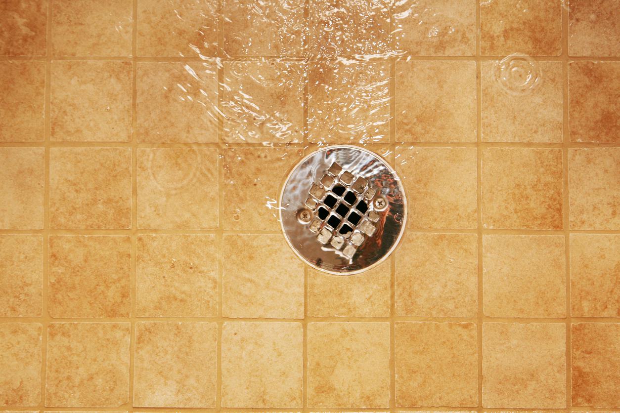 How to Clean a Shower Drain