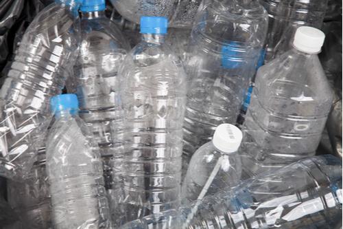 Plastic water bottles in a recycling bin