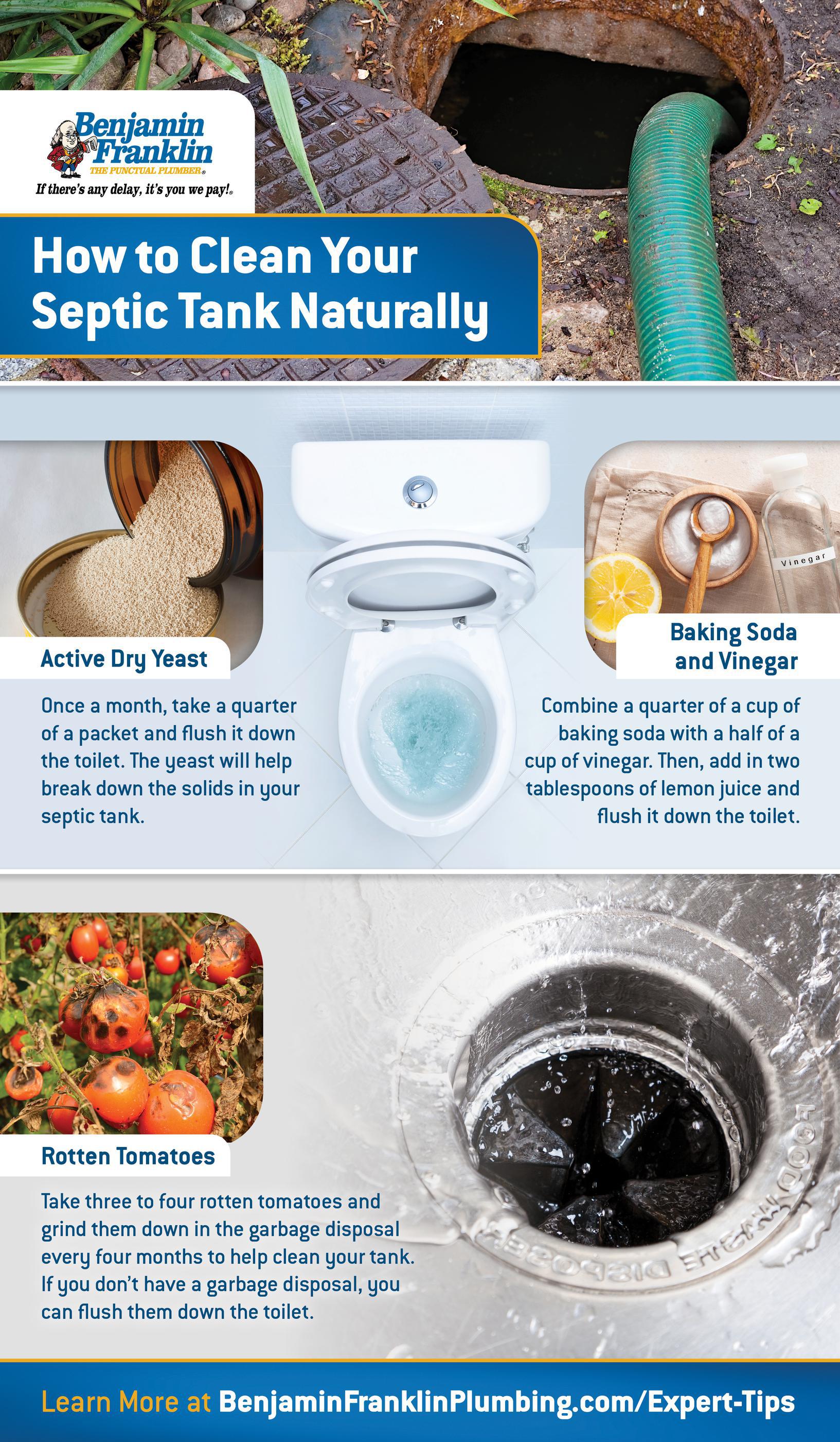 BFP Naturally Caring For Septic System Infographic 742831850
