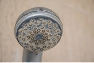 close-up of shower head