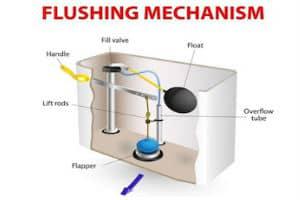 diagram of the flushing mechanism inside a toilet tank