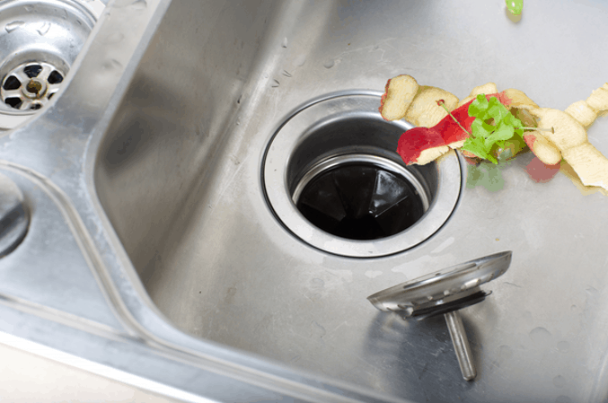 food near sink garbage disposal