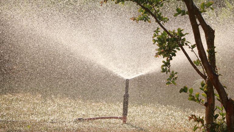 Gardening Water Wasters