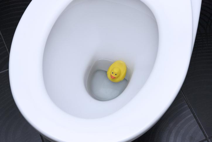 Help! What Do I Do If I Have a Toilet Clogged with Toys?