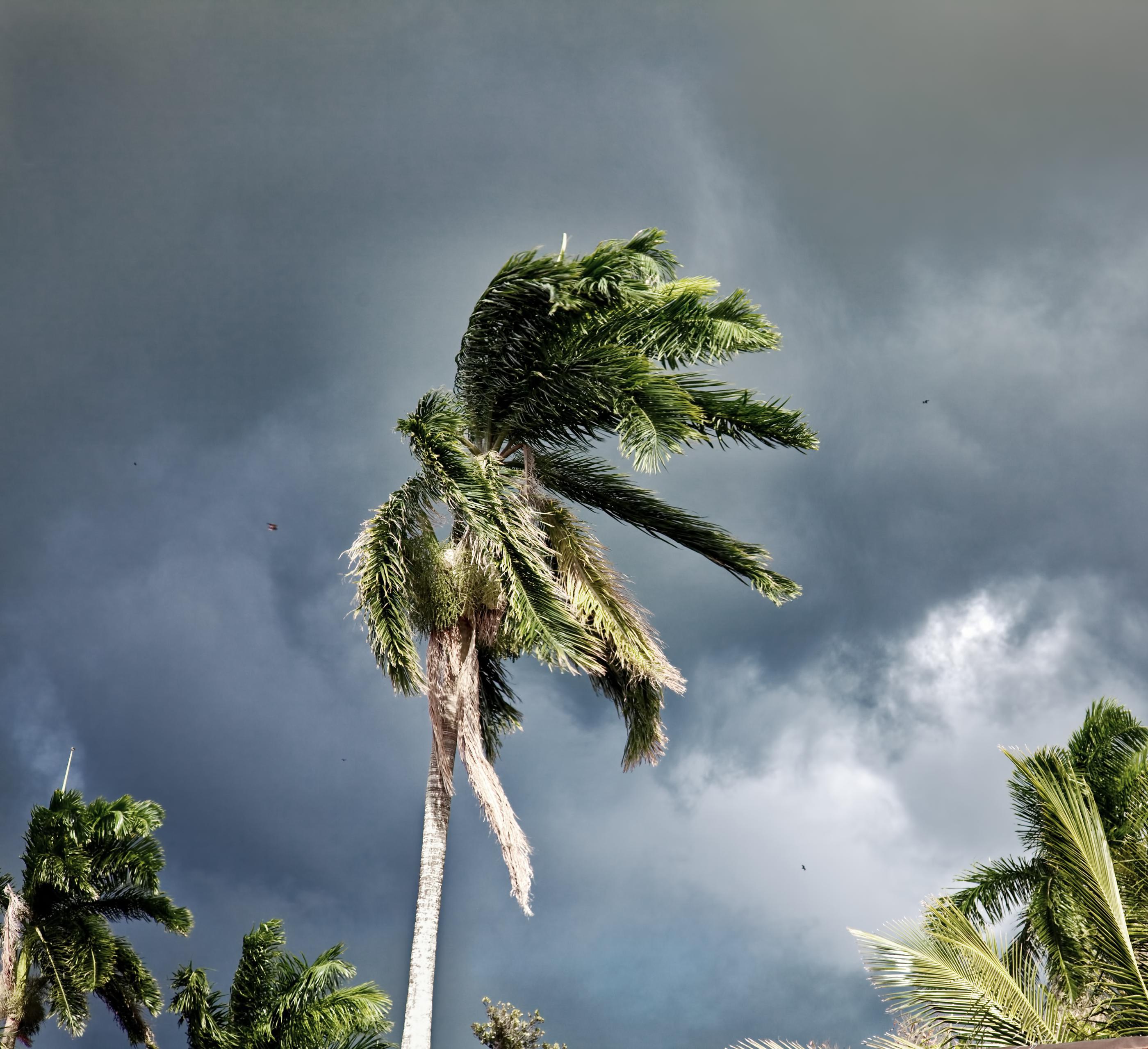 Is Your Plumbing Hurricane-Ready? Storm Prep Tips for Florida Homes