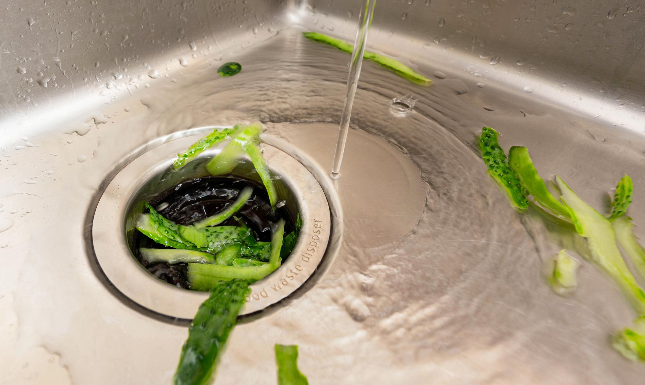 Common Garbage Disposal Problems