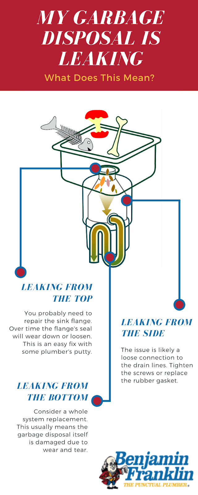 Leaking Garbage Disposal Infographic 2