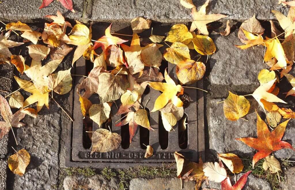 How Does Fall Weather Impact Tap Water in Nashville?