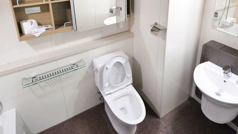 The Best Methods to Unclog a Toilet