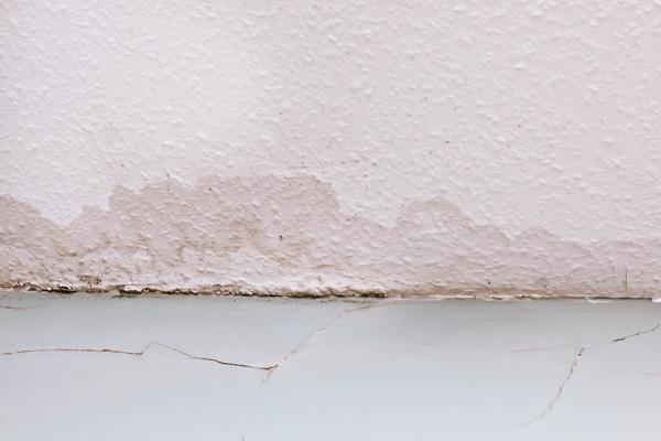 wall