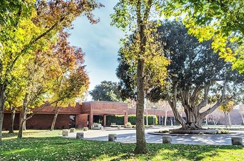 A building with trees in front of it