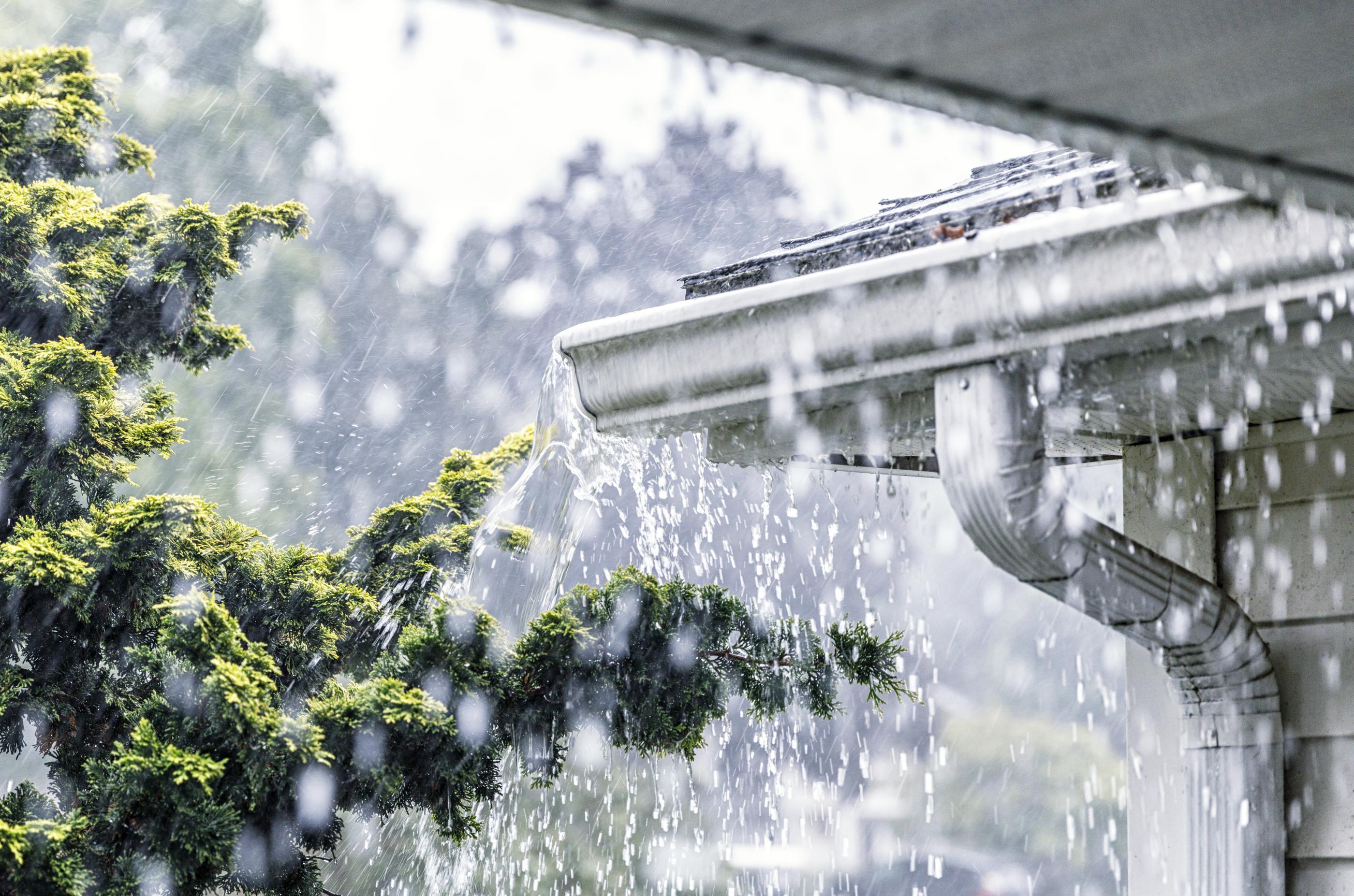 How to Spot Yard Drain Problems in Ocean County