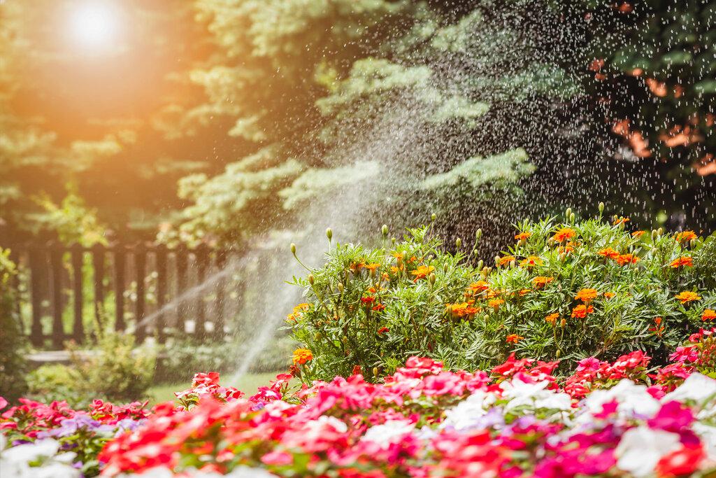 Common Spring Plumbing Issues