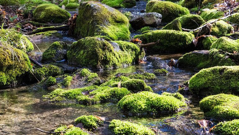 Waterfall in stream 