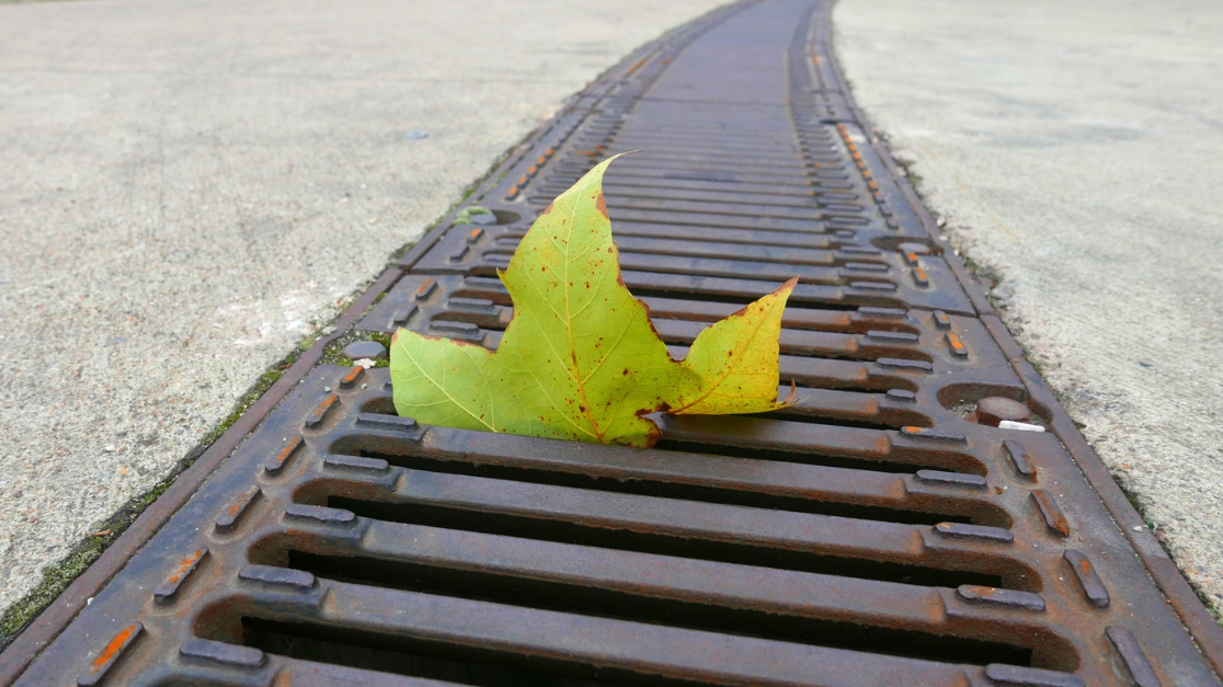 The Importance of Unclogged Drains and Gutters