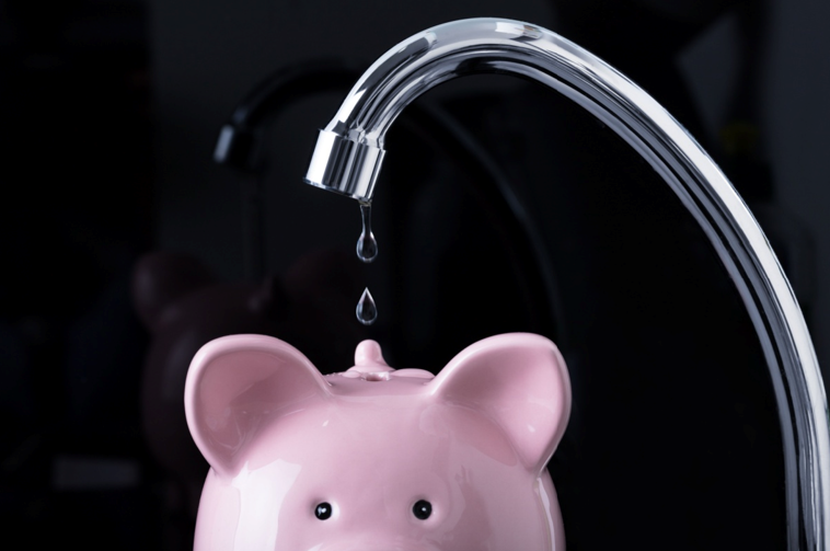 How to Avoid Wasting Water in Doylestown This Summer (And Save More)