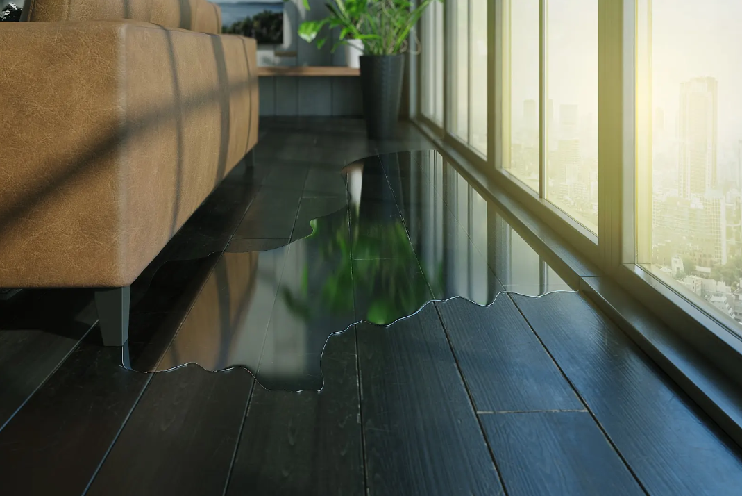 How Plumbing Issues Can Lead to Mold in Your Nashville Home