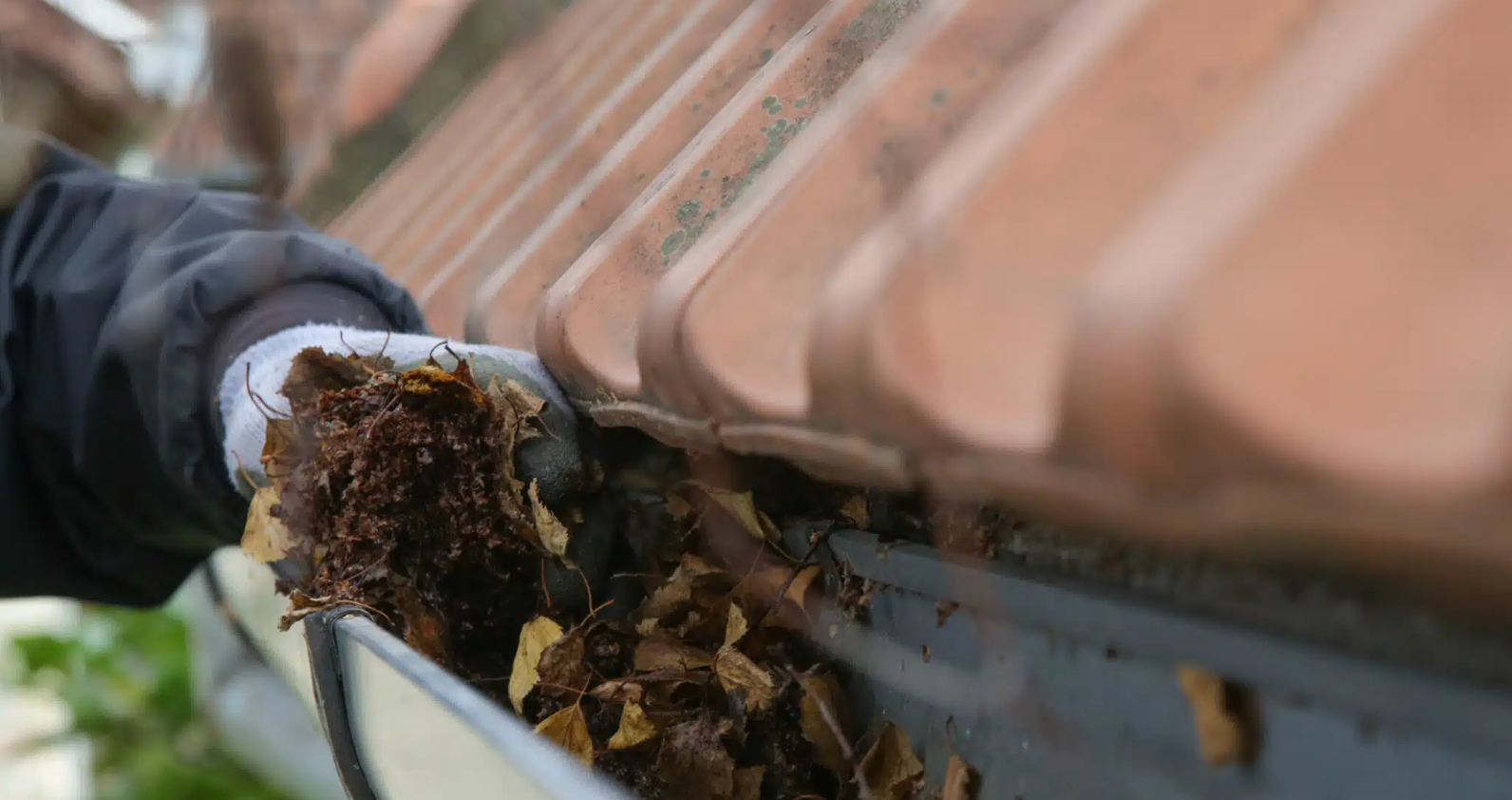 Seasonal Drain and Pipe Issues in Prescott