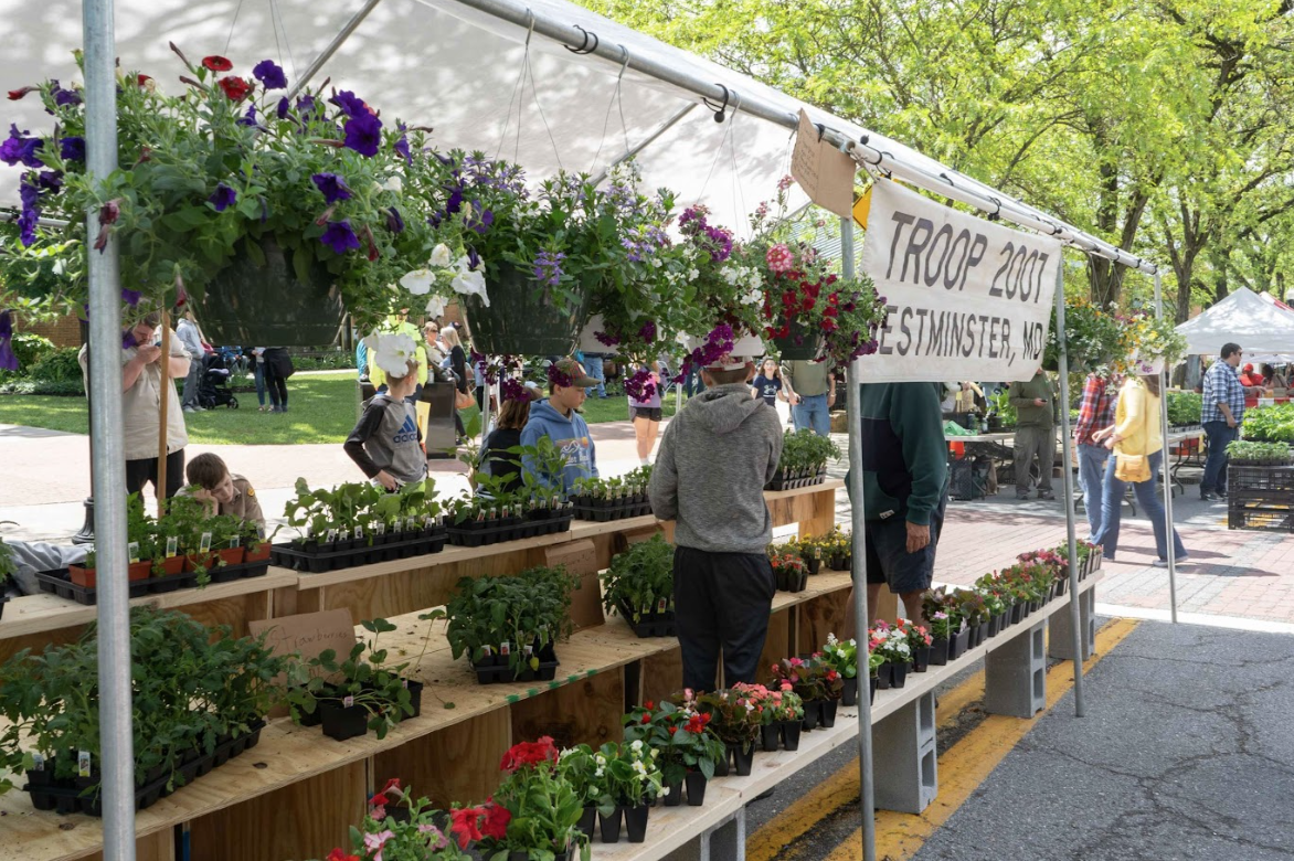 Flower & Jazz Festival