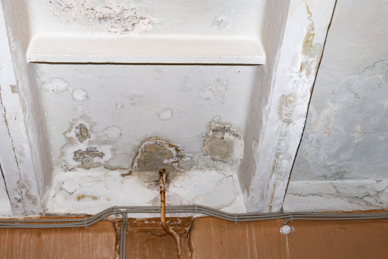 Signs of Hidden Leaks in Quinby Homes