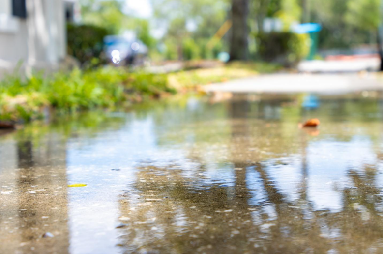 What Causes Unexplained Wet Areas in Your Yard?