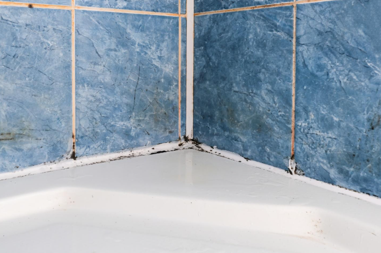 Effective Solutions for Bathroom Mold and Mildew