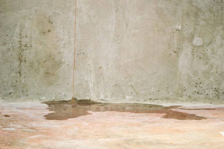 Conway Slab Leak Detection - Early Signs Under Floors and Walls