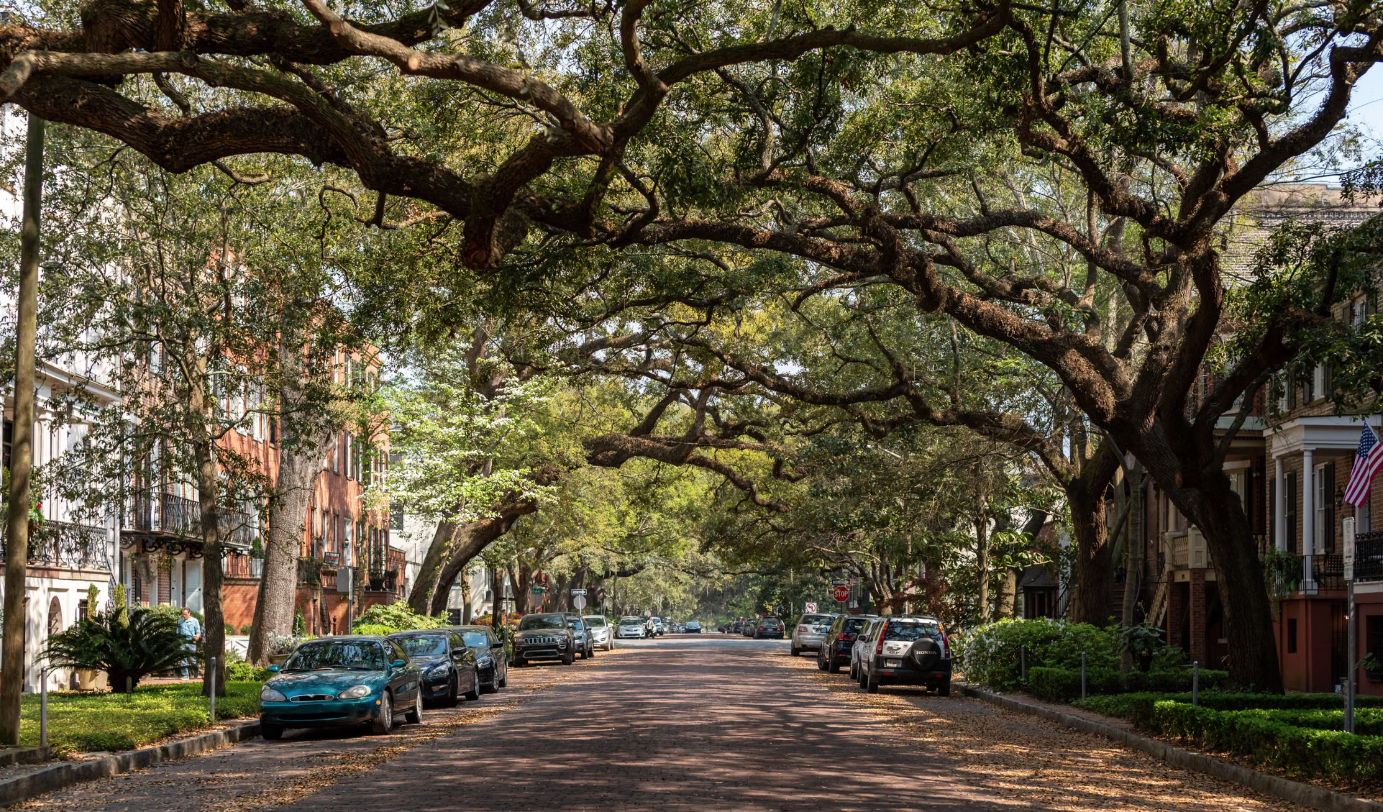 A Homeowner’s Guide to Aging Plumbing in Savannah Homes