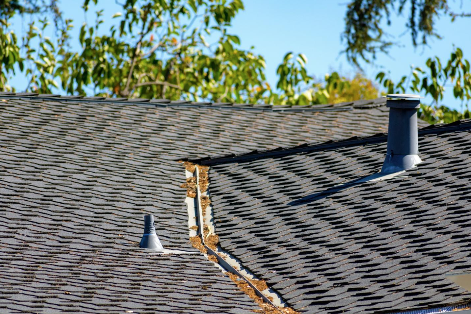 Warning Signs of Blocked Vent Pipes