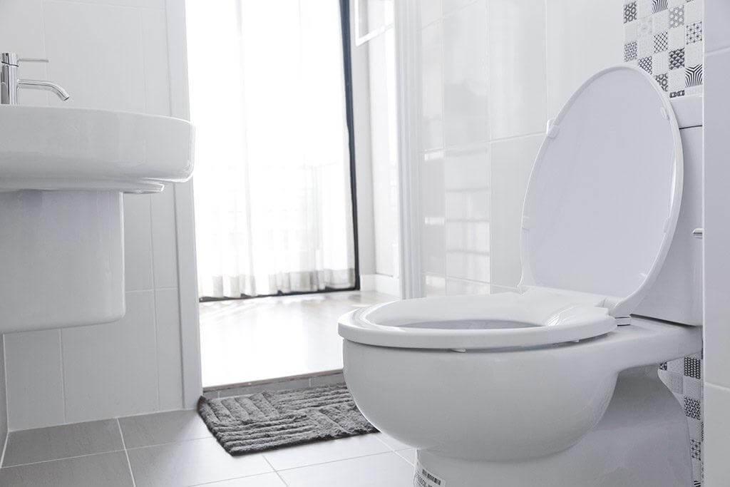 Fix the Most Daunting Toilet Problems!
