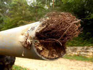 Blocked Sewer Pipe: 4 Signs You Can’t Ignore