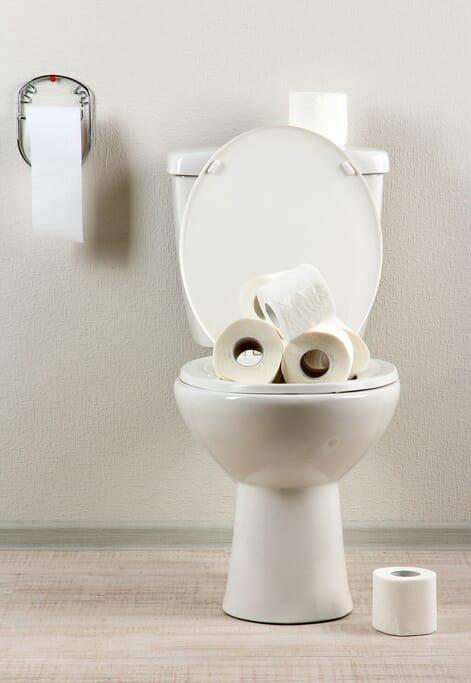 Sugar Land Plumbers – Clogged Toilets