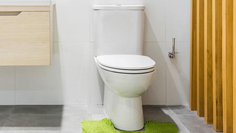 What Are the Different Types of Toilets?