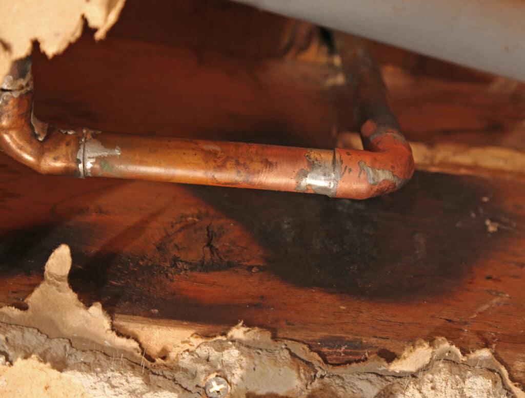 Understanding Moisture-Related Pipe Damage in Myrtle Beach