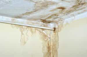 Frozen Pipes? 5 Steps to Prevent Disaster