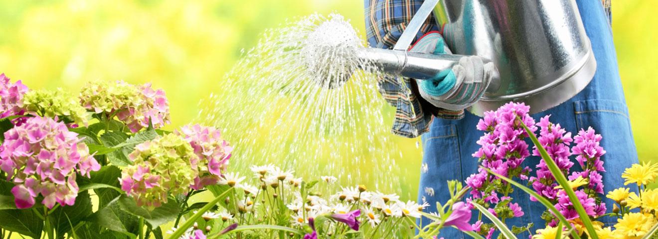 6 Ways to Save Water While Landscaping