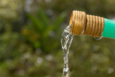 An image of a water hose