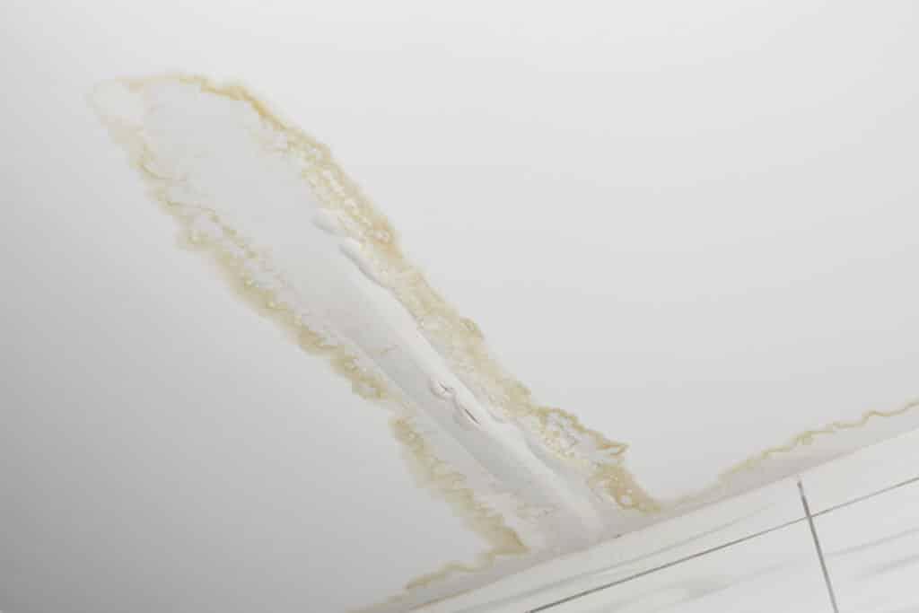 Detecting And Fixing Water Leaks: A Quick And Easy Guide