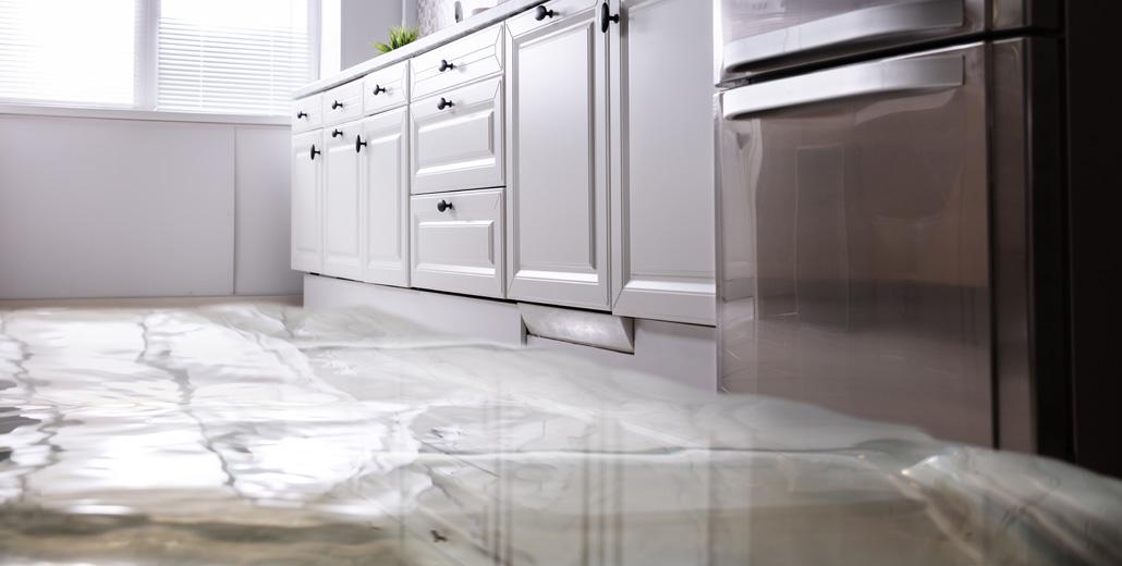 Help! My Refrigerator is Leaking Water in Port St Lucie!