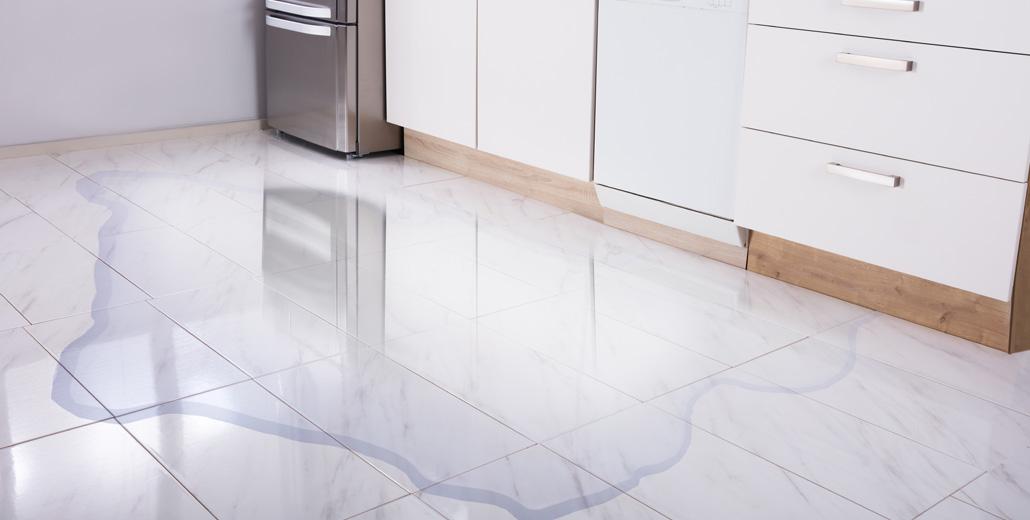 Help! My Refrigerator is Leaking Water in Pleasantville!