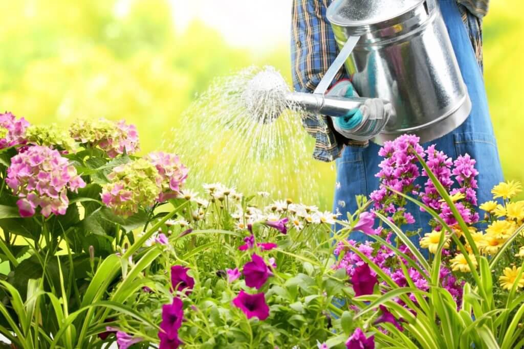 6 Ways to Save Water While Landscaping in Nashville